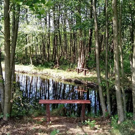 Domek Lukaszowka Campsite *